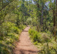 Mares Forest Creek walking track - Palm Beach Accommodation
