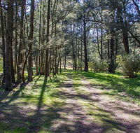Wombeyan Waterfall walking track - Palm Beach Accommodation