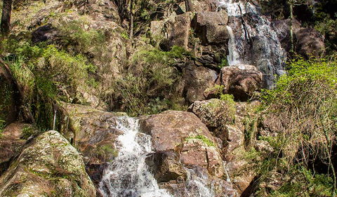 Wombeyan Waterfall Walking Track - Palm Beach Accommodation 3