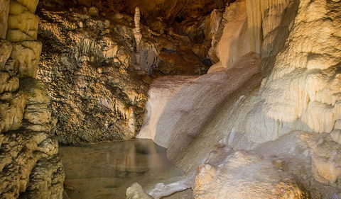 Kooringa Cave - Palm Beach Accommodation 1