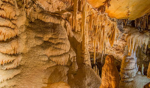 Kooringa Cave - Palm Beach Accommodation 2