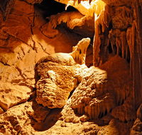Fig Tree Cave - Palm Beach Accommodation