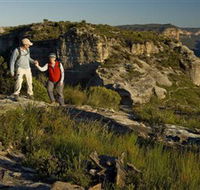 Mount Hay - Palm Beach Accommodation