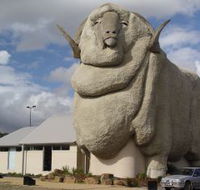 Big Merino - Palm Beach Accommodation