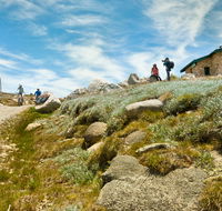 Mount Kosciuszko Summit walk - Palm Beach Accommodation