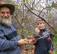 Pine Crest Orchard - Palm Beach Accommodation