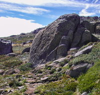 Mount Stillwell walk - Palm Beach Accommodation