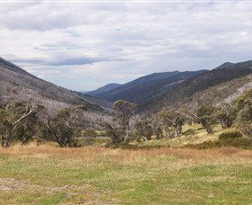 Dead Horse Gap - Palm Beach Accommodation 2