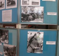 Stewarts Visitor Information and Gallery - Palm Beach Accommodation