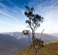 Salisbury Waters walking track - Palm Beach Accommodation