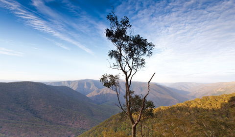Salisbury Waters Walking Track - Palm Beach Accommodation 0