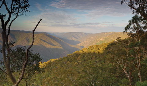 Salisbury Waters Walking Track - Palm Beach Accommodation 2