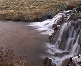 Kosciuszko National Park - Palm Beach Accommodation 2