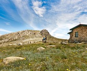 Kosciuszko National Park - Palm Beach Accommodation 0