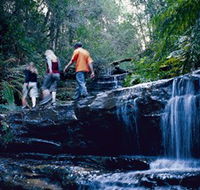 South Lawson Waterfall Circuit - Palm Beach Accommodation