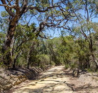 Howes trail - Palm Beach Accommodation