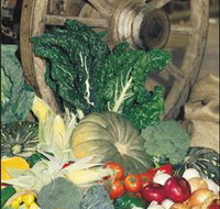 Mulgowie Real Farmers Markets - Palm Beach Accommodation