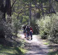 Syd's Rapids and Aboriginal Heritage Trail Avon Valley - Palm Beach Accommodation
