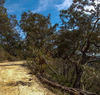 Parr State Conservation Area - Palm Beach Accommodation