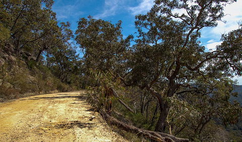 Parr State Conservation Area - Palm Beach Accommodation 0