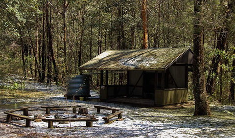Parr State Conservation Area - Palm Beach Accommodation 1
