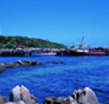 King Island Dairies - Palm Beach Accommodation