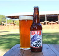 Feral Brewing Company - Palm Beach Accommodation