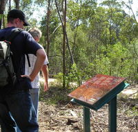 Finchley cultural walk - Palm Beach Accommodation