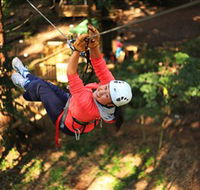 Trees Adventure Grose River Park - Palm Beach Accommodation