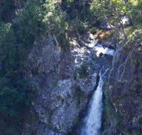 Lyrebird Falls walking track - Palm Beach Accommodation