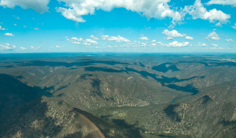 Bungonia NSW Palm Beach Accommodation