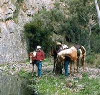 Yarramba Horse Riding - Palm Beach Accommodation