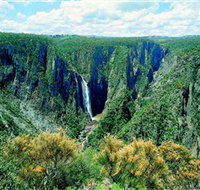 Wollomombi Falls - Palm Beach Accommodation