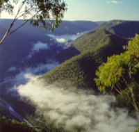 Long Point Lookout - Palm Beach Accommodation