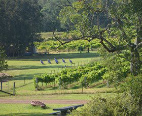 Wollombi Wines - Palm Beach Accommodation 8