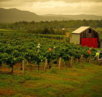 Around Hermitage Wine and Food Trail Hunter Valley - Palm Beach Accommodation