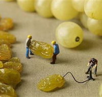 Hunter Valley Wine School - Palm Beach Accommodation