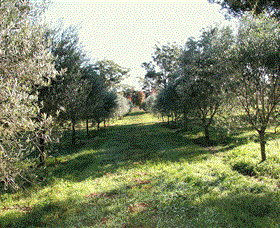Langdale Farm - Palm Beach Accommodation