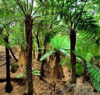 Pegarah Private Nature Reserve  Parenna Place - Palm Beach Accommodation