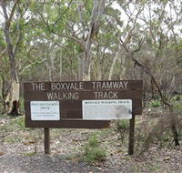Box Vale Picnic Area - Palm Beach Accommodation