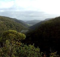 Nattai Gorge Lookout - Palm Beach Accommodation