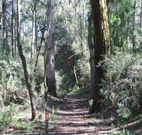 Box Vale Mine Walking Track and Lookout - Palm Beach Accommodation