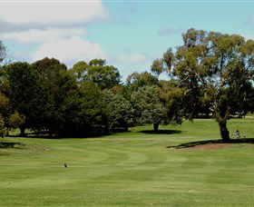 Cooma Golf Club - Palm Beach Accommodation 1