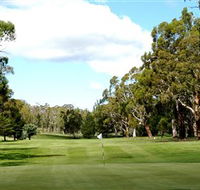 Cooma Golf Club - Palm Beach Accommodation