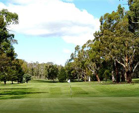Cooma Golf Club - Palm Beach Accommodation 0