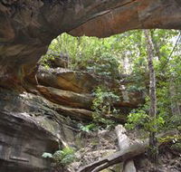 Cave Creek Walking Track - Palm Beach Accommodation