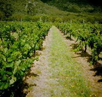 Gartelmann Wines - Palm Beach Accommodation