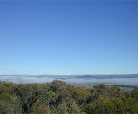 Mount Gladstone - Palm Beach Accommodation 0