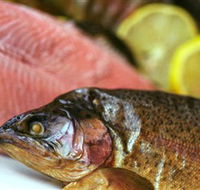 Lovedale Smokehouse Gourmet Pantry Cafe and Masterclasses - Palm Beach Accommodation