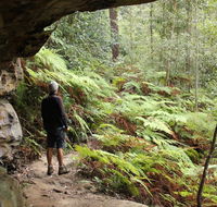 Dharug National Park - Palm Beach Accommodation